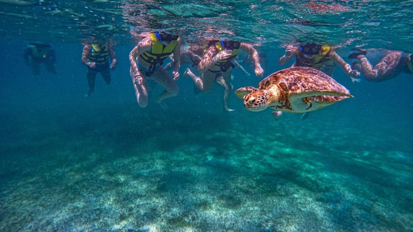 Riviera Maya Sailing Elite