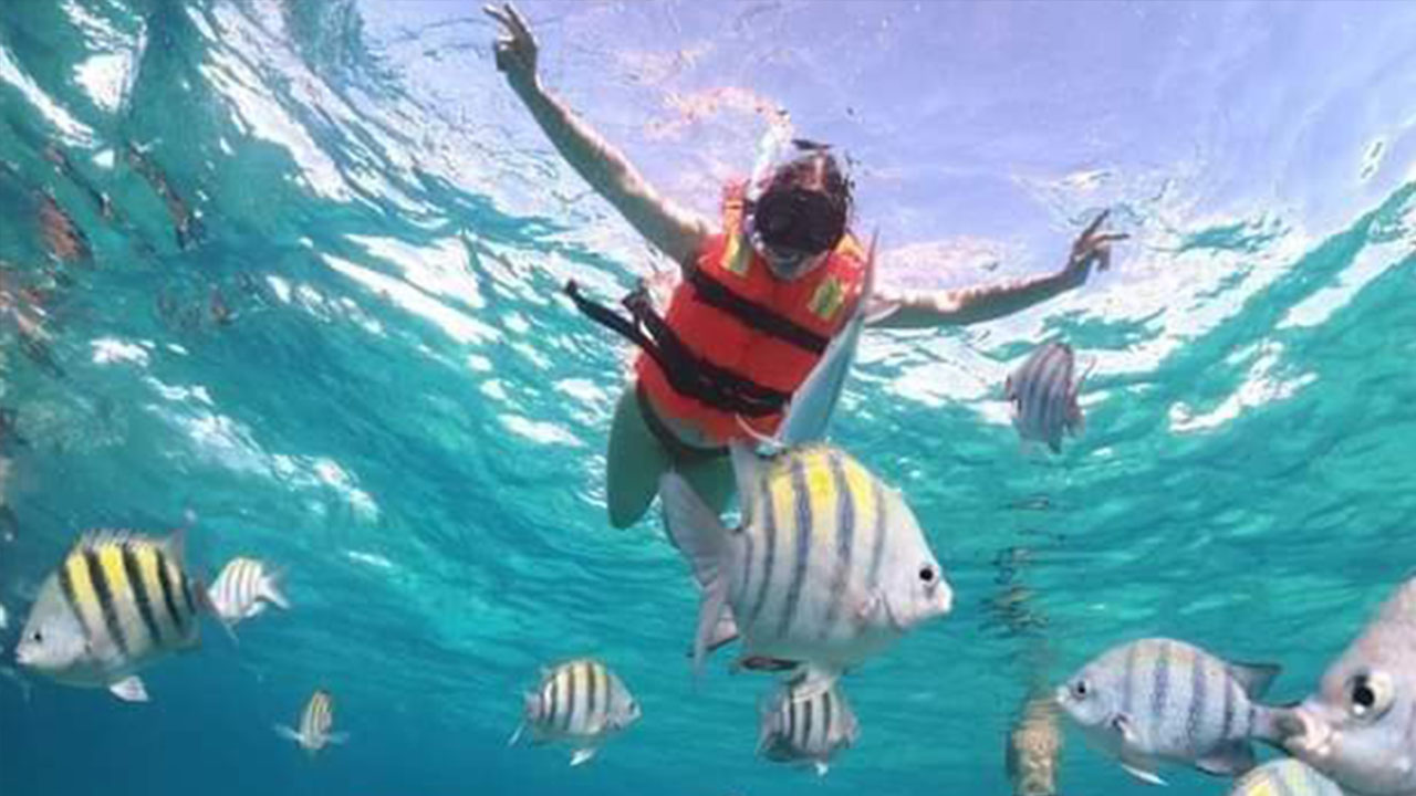 Riviera Maya Sailing Elite